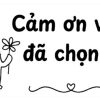 Mẫu 1 Tem Cảm Ơn 5x3mm